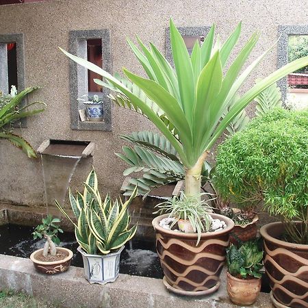 בנטונג Garden Vacation Suite חדר תמונה