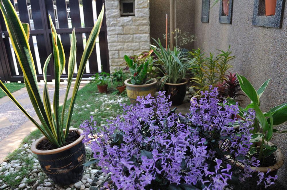 בנטונג Garden Vacation Suite מראה חיצוני תמונה